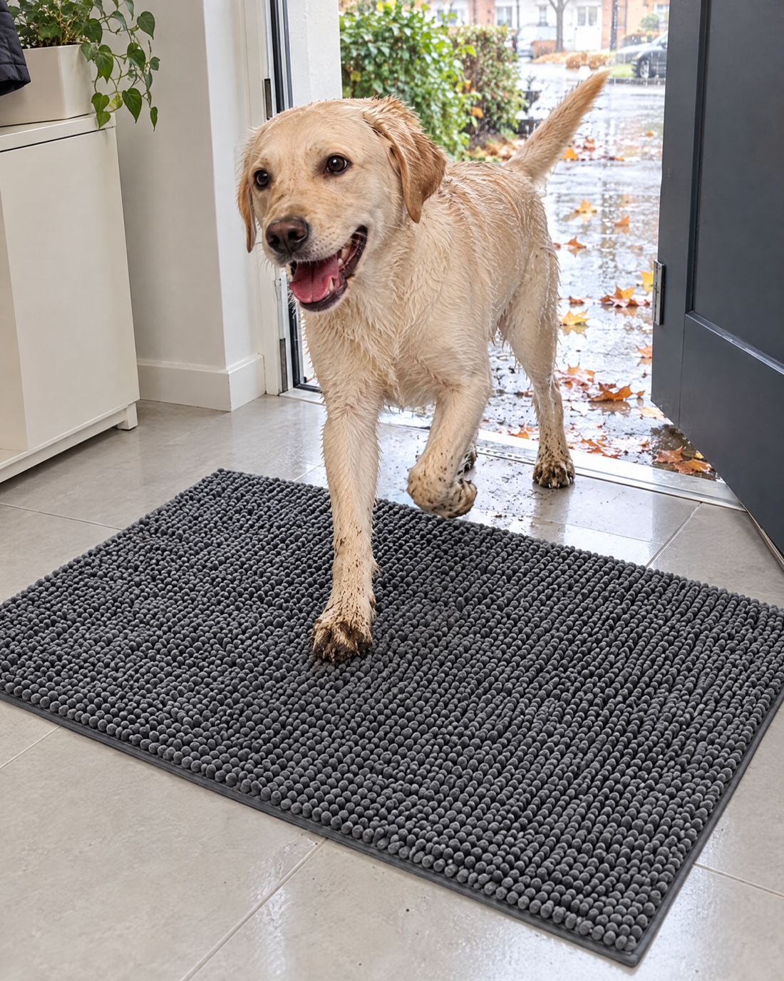 Mokry labrador wchodzi z deszczu na wycieraczkę Chłonka w przedpokoju